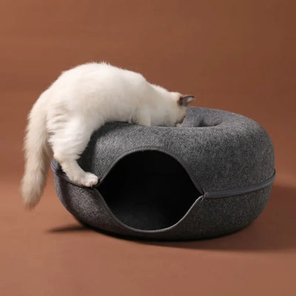 The Cat Donut